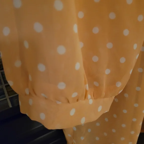 Sheer peach chiffon blouse with white polka-dots. Pearl and gold buttons. Size L - Picture 10 of 12